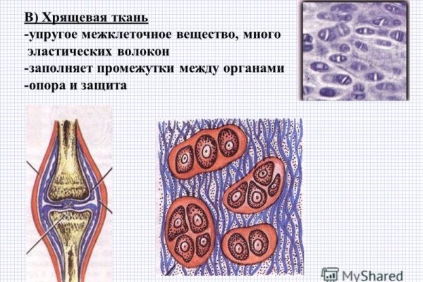 Кракен телеграмм